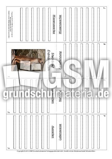 Faltbuch-Erdmännchen.pdf